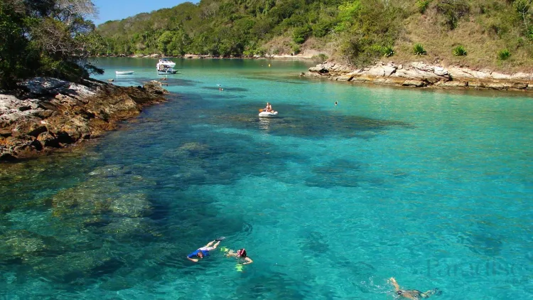 Transfer + Travessia - Do Rio de Janeiro x Para Ilha Grande